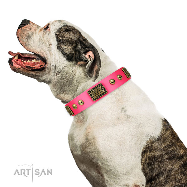 Durable buckle on full grain natural leather dog collar for walking