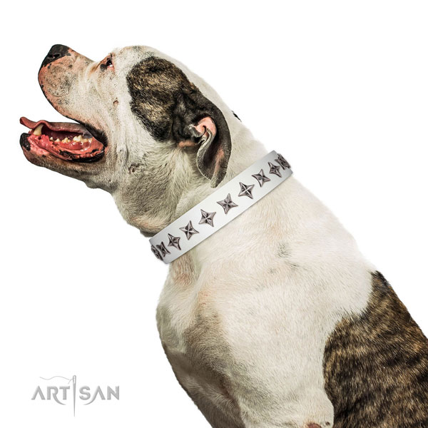 Finest quality full grain genuine leather dog collar with designer studs
