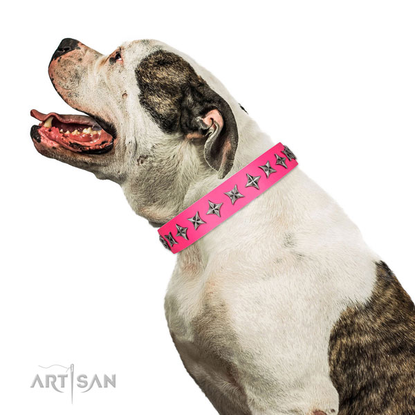 Durable full grain natural leather dog collar with stunning decorations