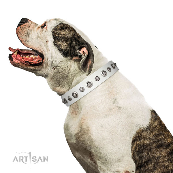Full grain leather collar with strong hardware for your lovely doggie