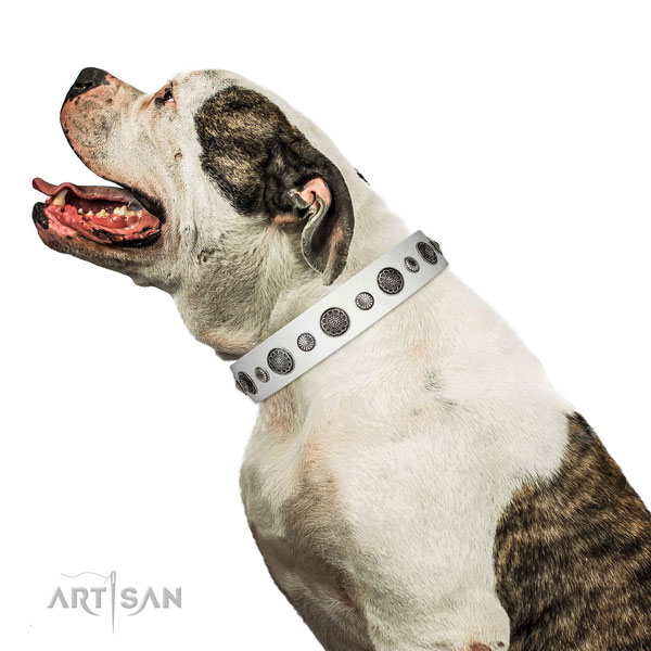 Top quality Full grain natural leather dog collar with corrosion resistant traditional buckle