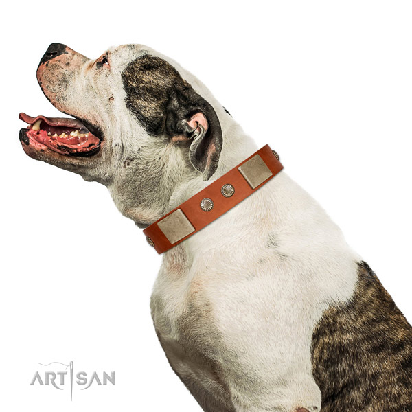 Designer leather collar for your lovely canine
