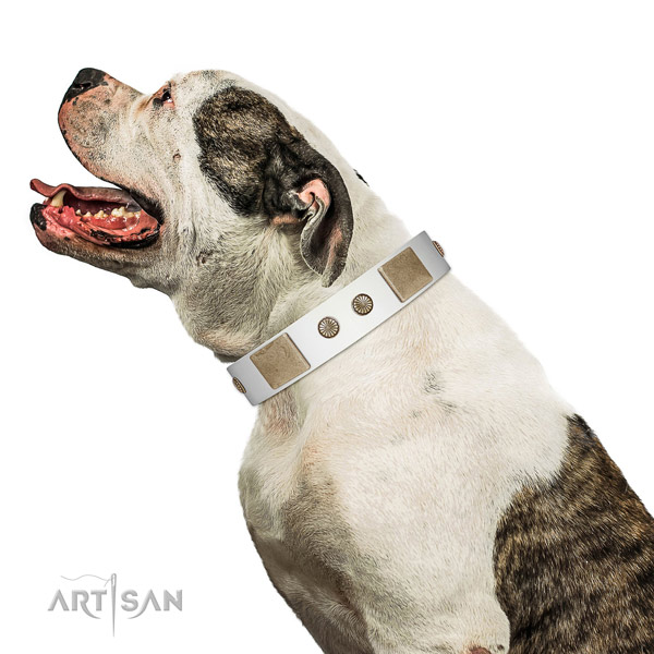 Rust resistant traditional buckle on genuine leather dog collar for handy use