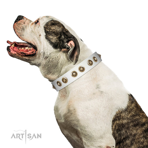Basic training dog collar of leather with unusual embellishments