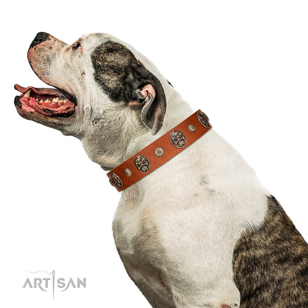 Genuine leather dog collar with amazing decorations