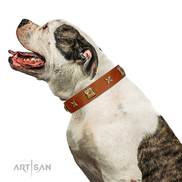Unique leather dog collar with decorations