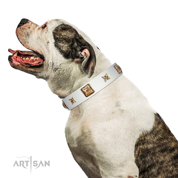 Stylish design natural leather dog collar with studs