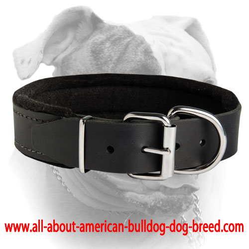 Padded Leather Dog Harness for Agitation Training