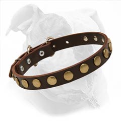 Designer Decorative Dog Collar