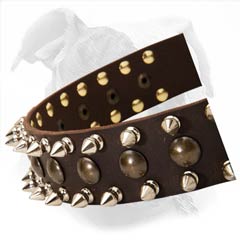 Handcrafted Leather Collar With Extravagant Spike Decor