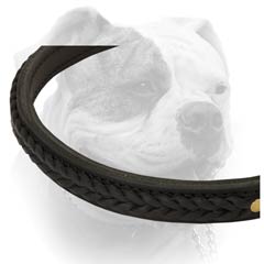 Leather Choke Collar for Obedient Training.