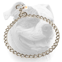 High quality stainless steel choke collar