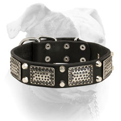 Old style massive nickel plates and pyramids for leather American Bulldog collar