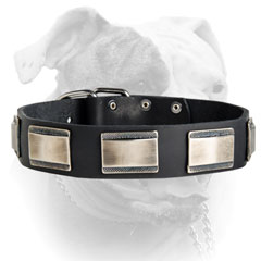 Vintage massive plates of nickel for American Bulldog collar