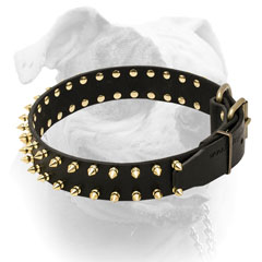 American Bulldog leather collar with strong brass hardware