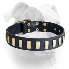 Riveted leather American Bulldog collar