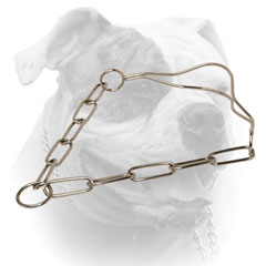 Durable American Bulldog show dog collar