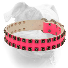 Pink leather American Bulldog collar with glamorous studs
