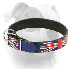 American Bulldog collar 