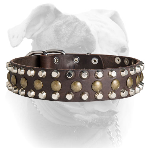 Strong American Bulldog collar