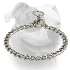 Durable American Bulldog choke collar