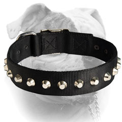 Decorated nylon American Bulldog collar with studs