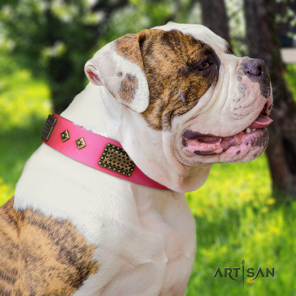 American Bulldog stylish design leather dog collar with studs for comfortable wearing