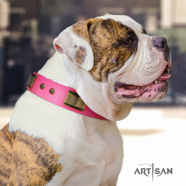 American Bulldog fashionable leather dog collar with decorations for walking