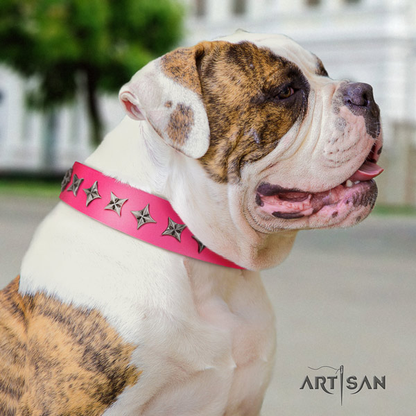 American Bulldog unique leather dog collar with decorations for daily walking