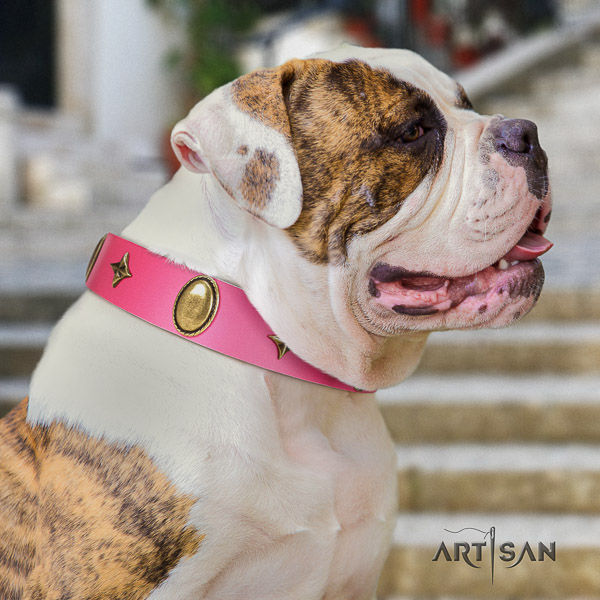 American Bulldog easy wearing leather collar with inimitable embellishments for your four-legged friend