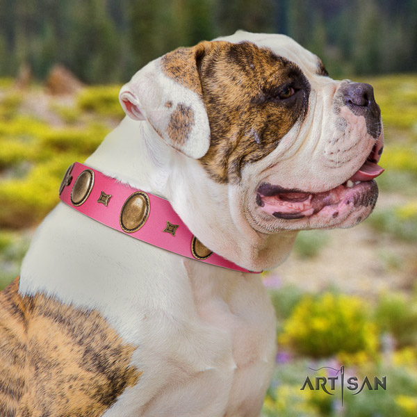 American Bulldog easy wearing full grain leather collar with unusual embellishments for your four-legged friend