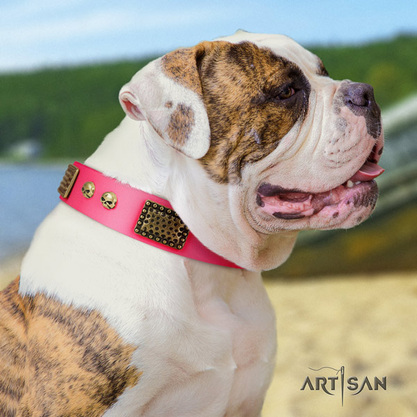 American Bulldog stylish design leather dog collar with decorations for easy wearing