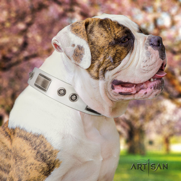 American Bulldog stylish design genuine leather dog collar with decorations for handy use
