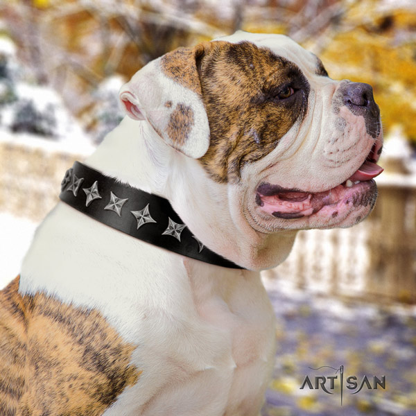 American Bulldog stylish design leather dog collar with decorations for daily walking