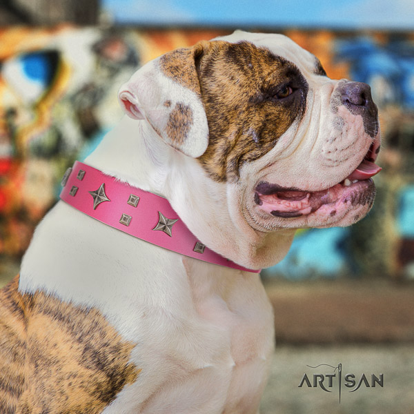 American Bulldog handy use full grain leather collar with incredible decorations for your dog