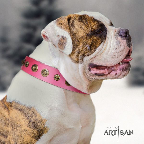 American Bulldog stylish walking natural leather collar with inimitable decorations for your pet