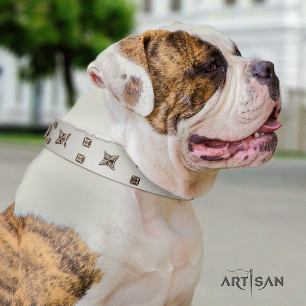 American Bulldog fancy walking leather collar with inimitable decorations for your doggie