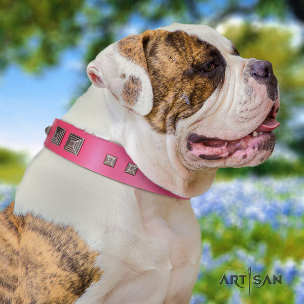 American Bulldog daily use full grain leather collar with exquisite decorations for your doggie