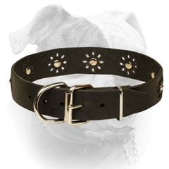 Leather American Bulldog collar with decoration