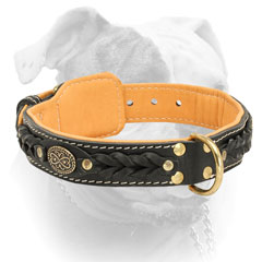 Securely riveted D-ring for Nappa padded American Bulldog collar