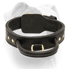 Leather American Bulldog collar with strong comfy handle