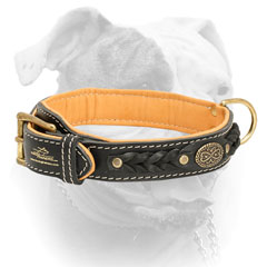 Leather American Bulldog collar with luxury medallion