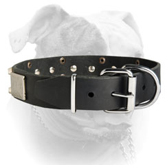Nickel plated buckle and D-ring for leather American Bulldog collar