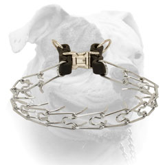 Chromium plated pinch American Bulldog collar with inside