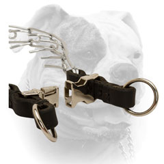 Special quick release buckle for pinch American Bulldog collar