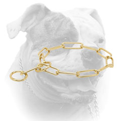 Training and walking American Bulldog choke collar