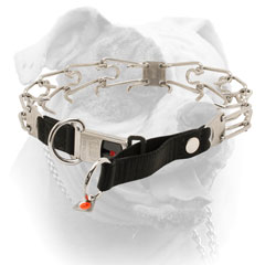 American Bulldog pinch collar