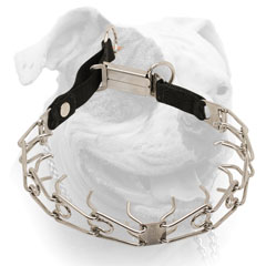 High quality stainless steel pinch collar