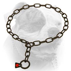 Black stainless steel collar for American Bulldog