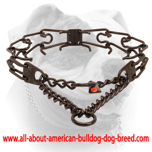 pinch collars for dog training